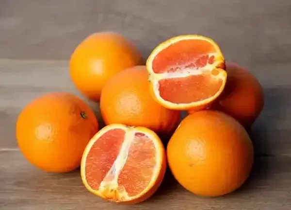 Vietnam_All_Time_Malta_Fruit_Plant_Live_Plant_For_Home_Garden