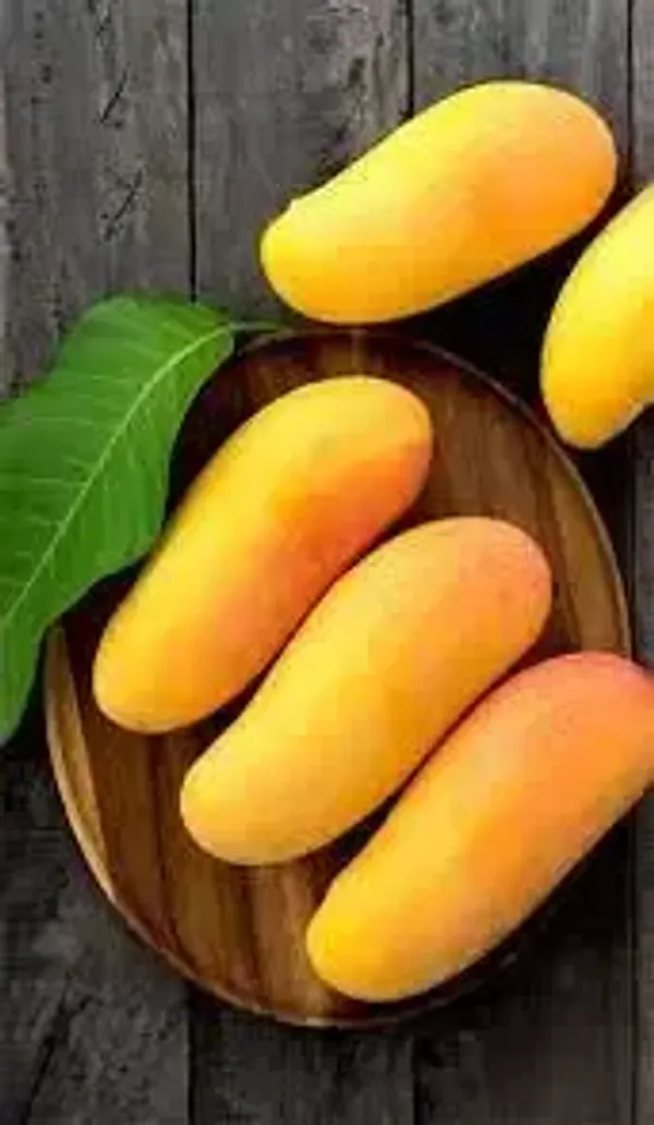 Yellow_Banana_Grafted_Mango_Plant_Live_Plant_For_Home_Garden