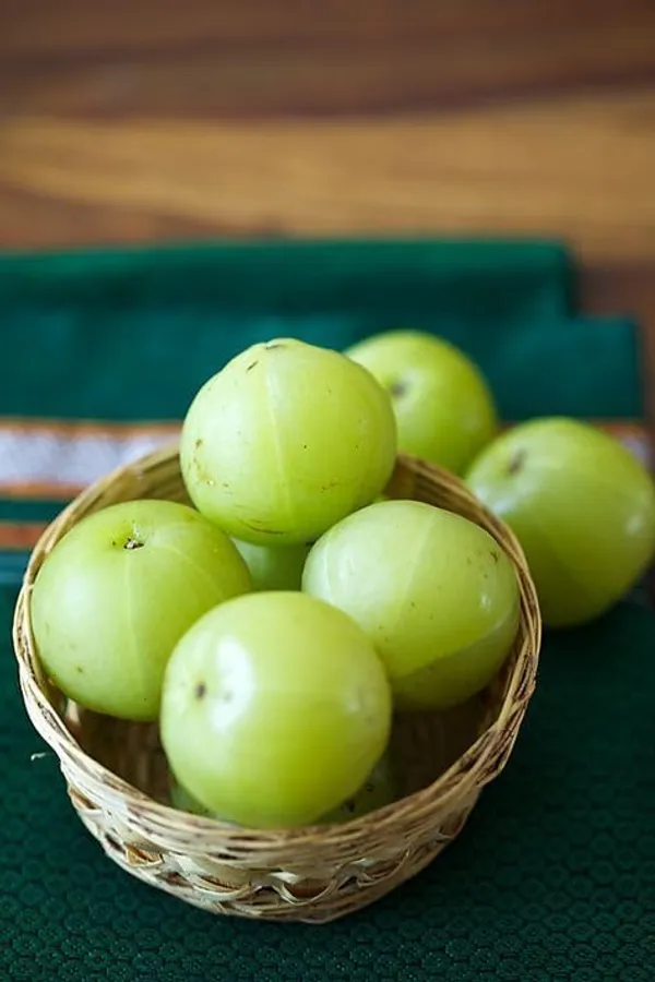 Bhumi_Amla_Plant_Hybrid_All_SeasonsIndian_Gooseberry_Amla_Plant_Grafted_(Plant_Height_2-2.5)_Feet_Dwarf_Amla_Tree_Plant_For_Home_Garden_Clone_Type_Amla_Fruit_Plant