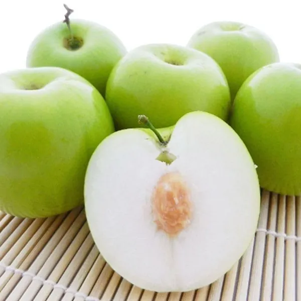 Apple_Ber_Thailand_Variety_Fruit_Known_As_The_Indian_Jujube_Grafted_Plant_Pack_Of_1