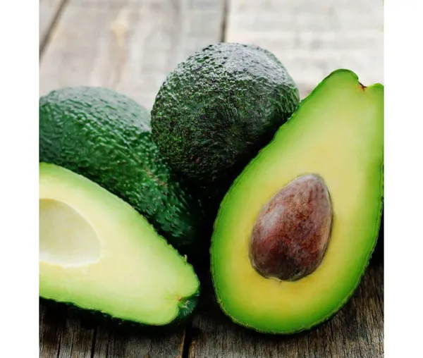 Avocado,_Butter_Fruit_-_Plant_Hybrid_Hass_Avocado_Persea_Americana_Alligator_Pear_Butter_Fruit_Ve_Ey_Evokaido_Phal_Aveakkadea_Phalam_Plant_Rare_Variety_Tree_1-1.6-_Ft