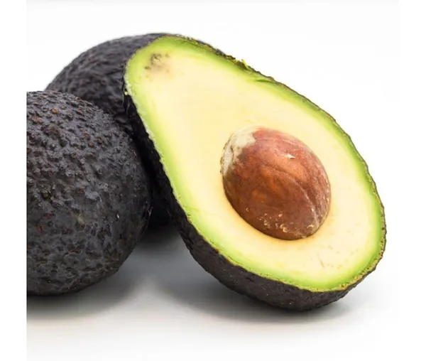 Avocado,_Butter_Fruit_-_Plant_Hybrid_Hass_Avocado_Persea_Americana_Alligator_Pear_Butter_Fruit_Ve_Ey_Evokaido_Phal_Aveakkadea_Phalam_Plant_Rare_Variety_Tree_1-1.6-_Ft