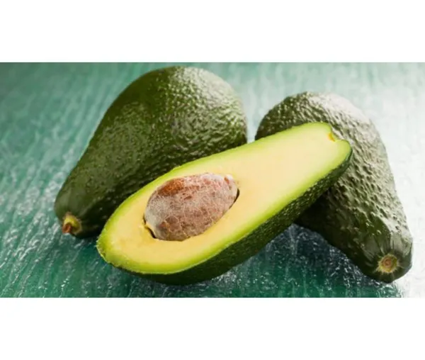 Hass_Avocado_Fruit_Plant_Grafted(Plant_Height_1.5-2)_Hybrid_Variety_Rare_Exotic_Dwarf_Avocado_Plant_Live_Persea_Americana_Plant_Butter_Fruit_PlantAvocado_Plant_Grafted_Dwarf