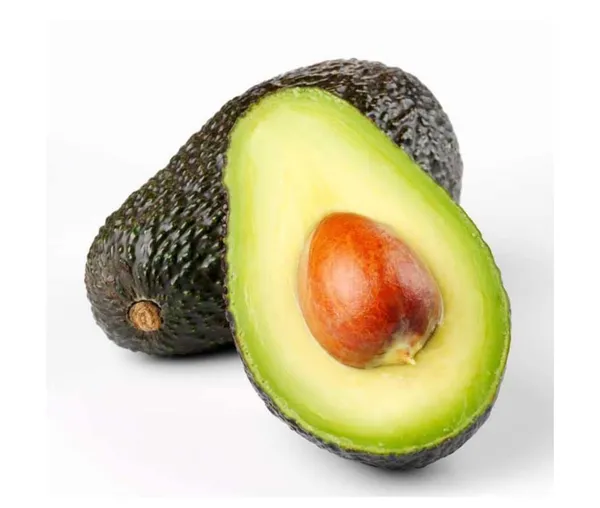 Avocado,_Butter_Fruit_-_Plant_Hybrid_Hass_Avocado_Persea_Americana_Alligator_Pear_Butter_Fruit_Ve_Ey_Evokaido_Phal_Aveakkadea_Phalam_Plant_Rare_Variety_Tree_1-1.6-_Ft