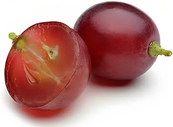 Champagne_Grapes_Plant_Hybrid_Grafted_Height_1.5-2_Feet_Angoor_Plant_Hybrid_Healthy_Super_Yielding_Early_Fruting_Valiant_Grape_Fruit_Plant'