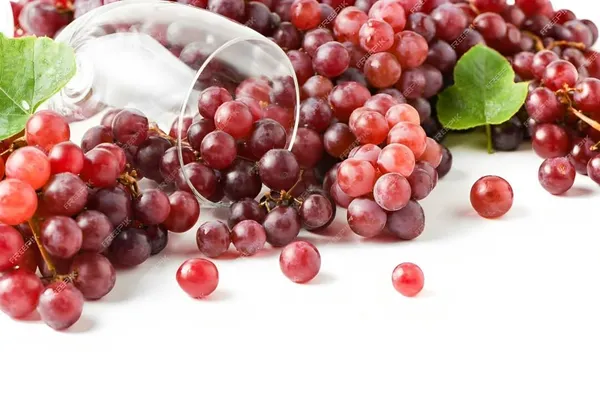 Champagne_Grapes_Plant_Hybrid_Grafted_Height_1.5-2_Feet_Angoor_Plant_Hybrid_Healthy_Super_Yielding_Early_Fruting_Valiant_Grape_Fruit_Plant'