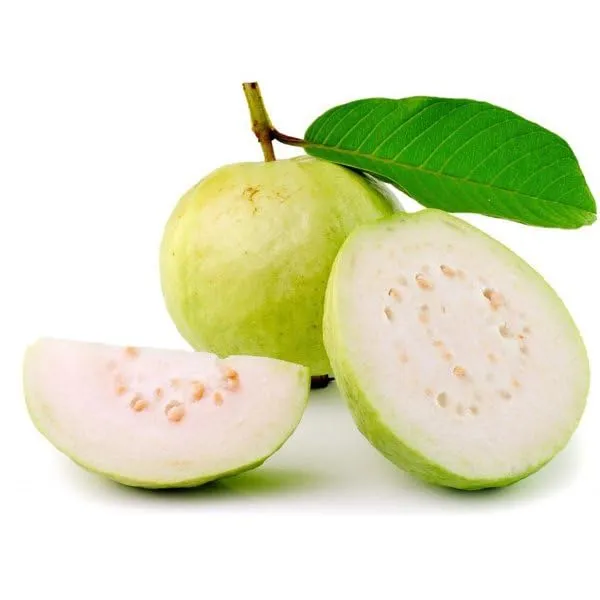Lucknow_49_Guava_Plantair_Layered__Grafted_Tree_Height_1.5-2_Feet_Plant_For_Home_Garden