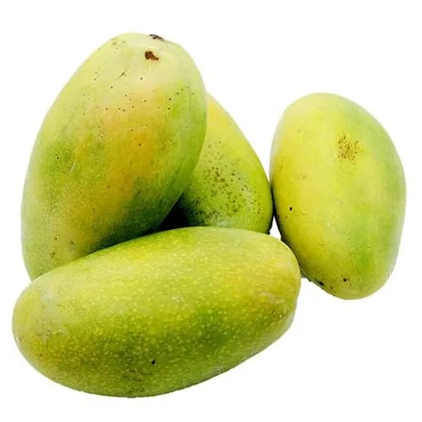 Authentic_Cheruku_Rasam_Mango_Tree_1.5-2_Feet_Height_-_Grafted_Variety_For_Fast_Growth_Healthy_Live_Plant_(Hybrid,_Pack_Of_1)