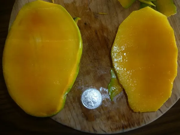 Hatcher_Mango_Grafted_Plant_Fruit_After_2-3_Years_(Pack_Of_1_Healthy_Tree,_Height_2_Feet)