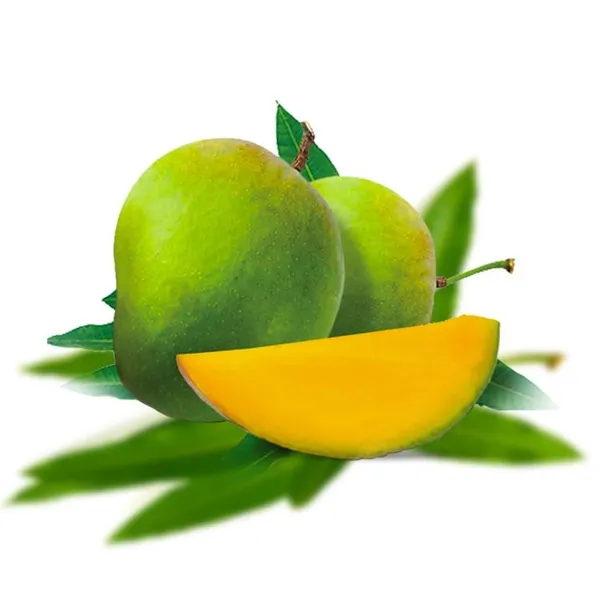 Himsagar_Mango_Plant_Grafted_Hybrid_1_Healthy_Live_Plant_Fruit_After_1-2_Years_(Tree_1.5-2_Feet_Height)