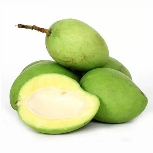 Authentic_Imam_Pasand_Mango_Plant_(Grafted_Plant,_1.5-2_Feet_Height)-Fruit_After_1.5-2_Years_Create_Your_Own_Tropical_Paradise_Hybrid_1_Healthy_Live_Plant