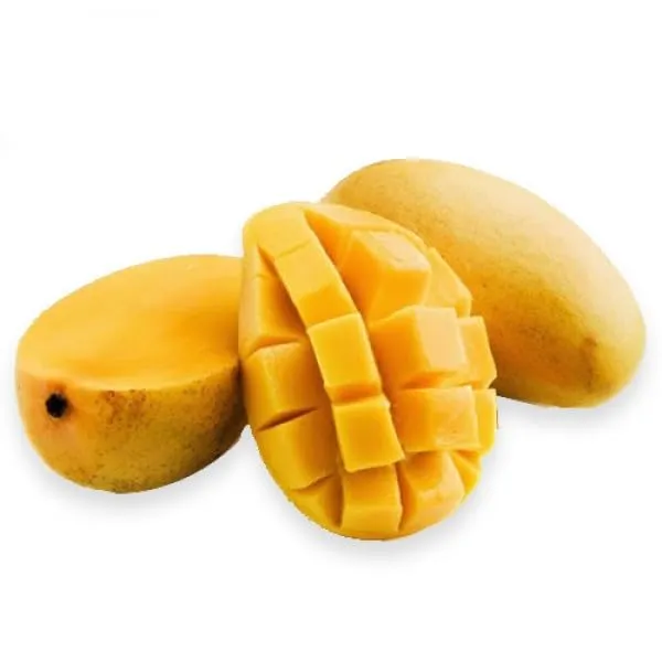 Authentic_Imam_Pasand_Mango_Plant_(Grafted_Plant,_1.5-2_Feet_Height)-Fruit_After_1.5-2_Years_Create_Your_Own_Tropical_Paradise_Hybrid_1_Healthy_Live_Plant