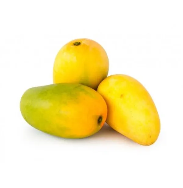 Jardalu_Mango_Plant_Original_1.5-2_Feet_Height_Grafted_Fruit_After_1-2_Years_Hybrid_1_Healthy_Fruit_Plant_Live_Plant_For_Home_Garden