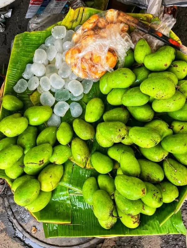 Kaccha_Mitha_Mango_Plant_Hybrid_Healthy_Kachi_Keri_Mitha_Mango_Fruit_Plant_(Grafted_Plant,_1.5-2_Feet_Height)_Kaccha_Mitha_Aam_Live_Plant_For_Home_Garden