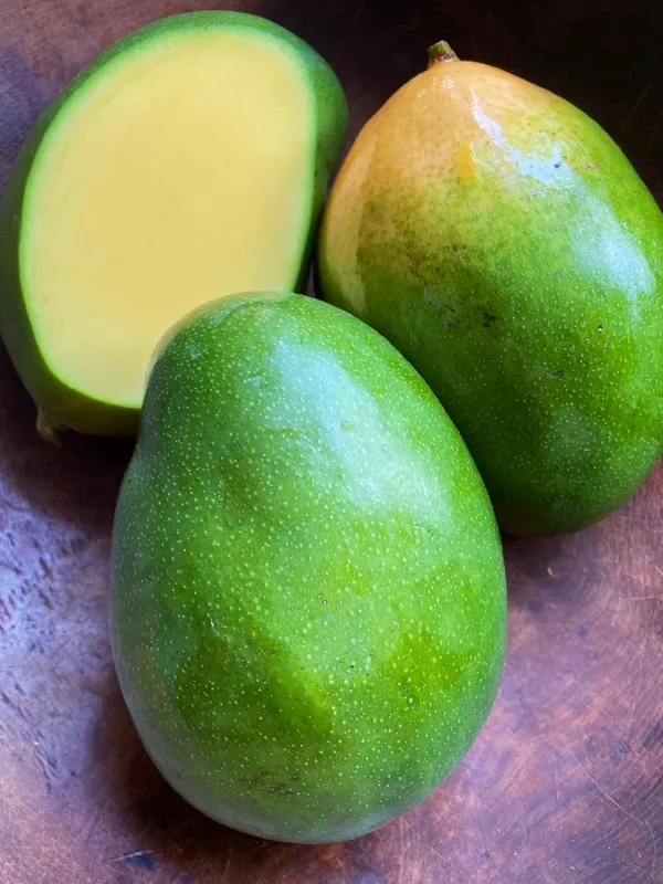Keitt_Mango_Hybrid_1_Live_Plant_(Grafted_Plant,_1.5-2_Feet_Height)_Healthy_For_Home_Garden