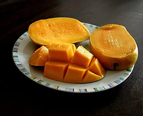 Combo_2Kesar_Mango_Tree_Grafted_Plant_Height_1.5-2_Feet_Live_Amba_Fruit_Plant_Hybrid_Mango_PlantKing_Of_FruitsPack_Of_2_Healthy_Live_Plant_For_Home_Garden