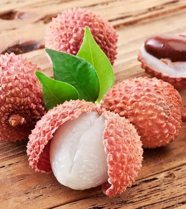 Dwarf_Thailand_Litchi_Plant_Hybrid_All_Seasons_(Height_1-2_Feet)_Sweet_Tropical_Rare_Litchi_Plant_Live_Hybrid_Live_Plant_For_Home_Garden_All_Time_Thai_Lychee_Plant_Air_Layered_In_Polybag