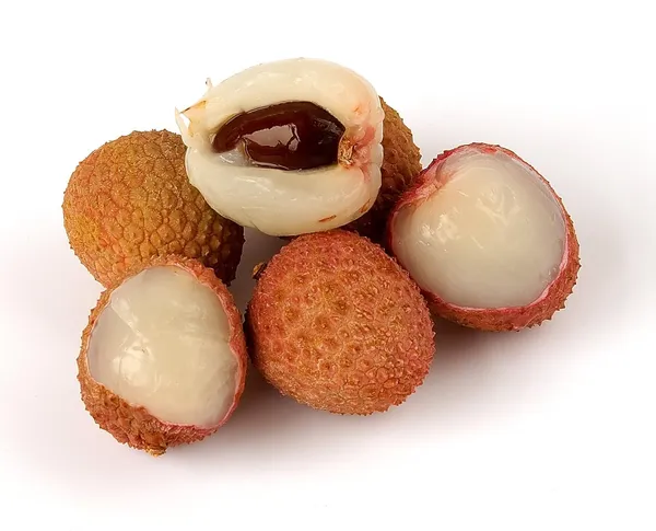 Late_Bedana_Litchi_Plant_Tropical_Rare_Exotic_Air_Layered_Lychee_Tree_(Height_1-1.5_Feet)_Litchi_Plant_Hybrid_Live_Fruit_Plant_For_Home_Garden
