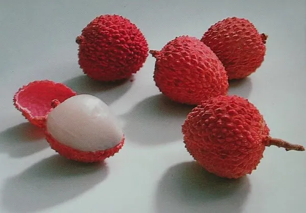 Ajhauli_Litchi_Plant_Tropical_Rare_Exotic_Air_Layered_Lychee_Tree_(Height_1-1.5_Feet)_Litchi_Plant_Hybrid_Fruit_After_1-2_Year_Live_Fruit_Plant_For_Home_Garden