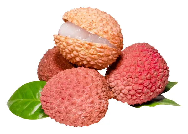 China-3_Litchi_Plant_Tropical_Rare_Exotic_Air_Layered_Lychee_Tree_(Height_1-1.5_Feet)_Litchi_Plant_Hybrid_Fruit_After_1-2_Year_Live_Fruit_Plant_For_Home_Garden