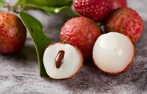 Seedless_Litchi_Grafted_Hybrid_-_Healthy_Super_Yielding_Early_Fruting_Late_Seedless_Litchi_Fruit_Plant'1.5_-2_Feet_Height_Plant_For_Home_Garden