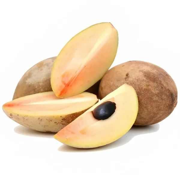Long_Chikoo_Plant_GraftedThai_Variety_(Plant_Height_2-3)_Sapota_Plant_Grafted_Fruit_After_2_Years_Chiku_Plant_Hybrid_Fruit_Plant_For_Home_GardenChiku_Plant_Tree