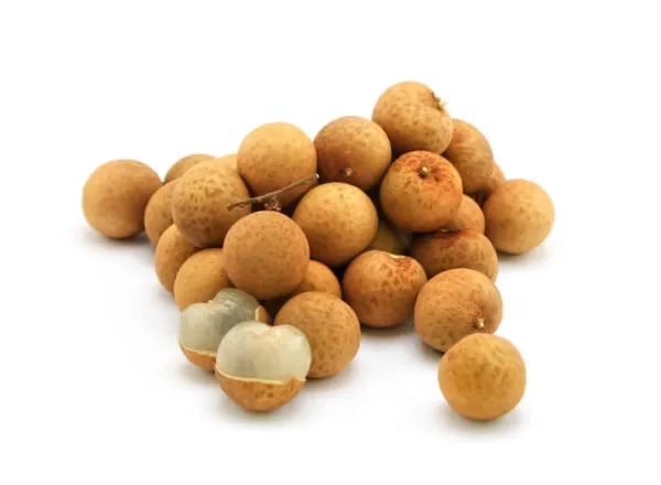 Dragon_Eye_Longan_Fruit_Live_Plant_16_Inch_Teal_Dimocarpus_Longan_Fruit_Plant_With_Polybag