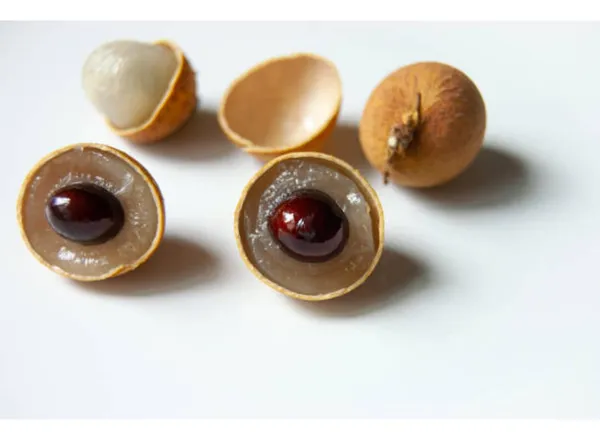Dragon_Eye_Longan_Fruit_Live_Plant_16_Inch_Teal_Dimocarpus_Longan_Fruit_Plant_With_Polybag