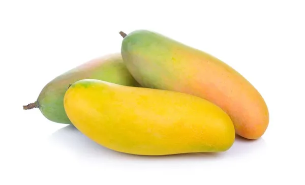Live_Mahachanak_Mango_Plant-Grafted_Rare_Variety