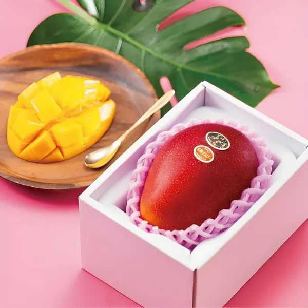 World?S_Costliest_Japanese_Miyazaki_Mango_Plant_Original_(Height_1.5-2_Feet)_Mango_Plant_Hybrid_Type_Taiyo_No_Tamago_Eggs_Of_Sun_Exotic_Mango_Tree_Grafted_For_Your_Garden_Pack_Of_2