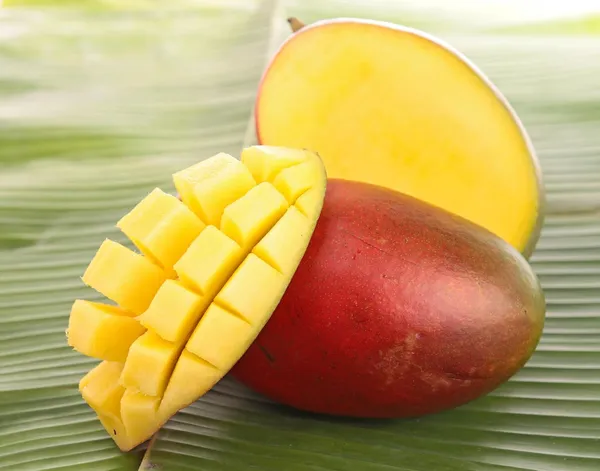 Sindhu_Mango_Tree_(Plant_Height_1.5-2_Feet)_Seedless_Mango_Plant_Grafted_Fruit_Come_After_1.5-2_Years_Of_Planting_Hybrid_Mango_Tree_Fruit_Plant_For_Home_Garden