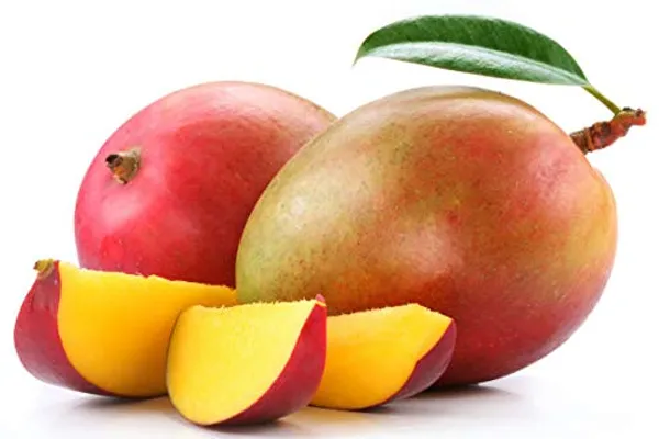 Miyazaki_Mango_Plant_Original_Variety_-_Grafted_Japanese_Fruit_Tree_Height_3_Feet,_Pack_Of_1_Plant