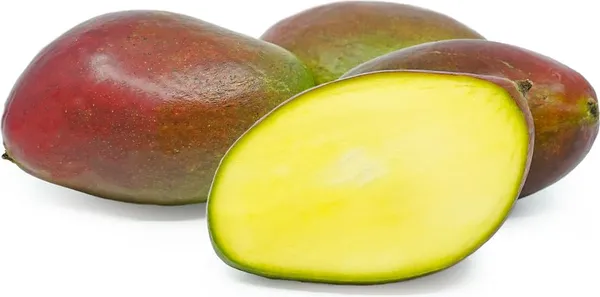 Dwarf_Palmer_Mango_Plant_Grafted_Hybrid_Fruit_After_9-12_Months_(1.5-2_Feet_Height)_1_Healthy_Live_Plant_Ideal_For_Small_Spaces
