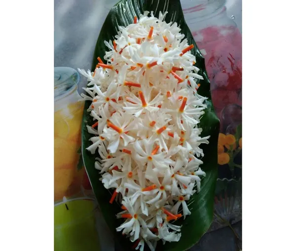 Parijat_Plant_Seuli_FlowerPlant_Harbinger_Plant_Hybrid_Parijatak_Tree_Flower_Plant_For_Home_Garden_Height_1-2_Feet_Night_Jasmine_Plant