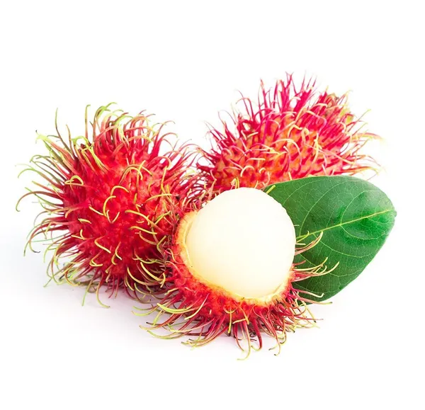 Ram_Bhutan_Rambotan_(Plant_Height1.5-2)_Ramboetan/RamboutanAir_Layering_Hybrid_Fruit_Plant_-_Healthy_Live_'Ram_Bhutan_Fruit_Plant'_Live_Plant_For_Home_Garden