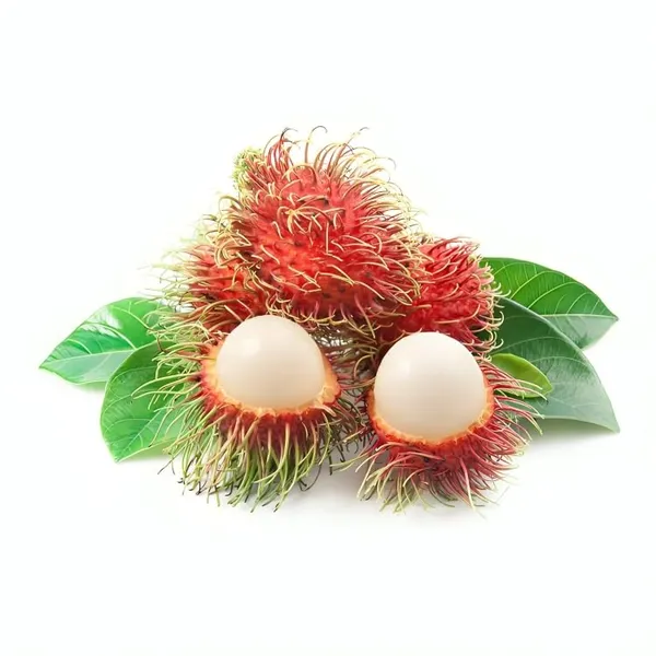 Ram_Bhutan_Rambotan_(Plant_Height1.5-2)_Ramboetan/RamboutanAir_Layering_Hybrid_Fruit_Plant_-_Healthy_Live_'Ram_Bhutan_Fruit_Plant'_Live_Plant_For_Home_Garden