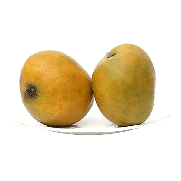 Fast-Growing_Raspuri_Mango_Plant_Fruit_After_1-2_Years_(Grafted_Plant,_1.5-2_Feet_Height)_-_Delicious_Variety_For_All_Climates_Hybrid_1_Healthy_Live_Plant