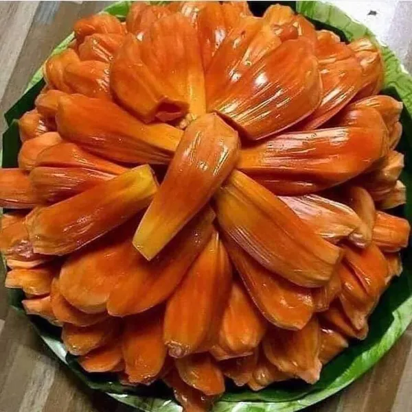 Red_Jackfruit_Plant_Hybrid_Fruit_Plant'_1.5-2_Feet_Height_Plant_For_Home_Garden