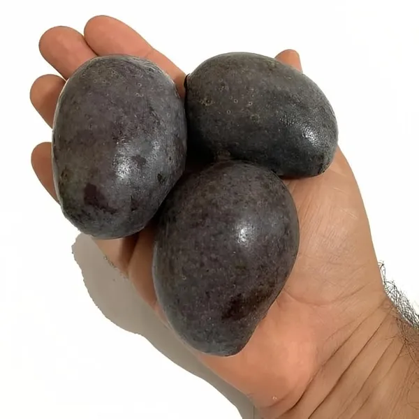 Premium_Rere_Kasturi_Black_Mango_Grafted_Live_Plant_(Height_1.5-2_Feet)_Hybrid_(Fruit_After_1.5-2_Years)_Exotic_Flavor_&_Abundant_Harvest,_Fast_Growth_-_Ideal_For_Home_Gardens_Black_Mango_Tree