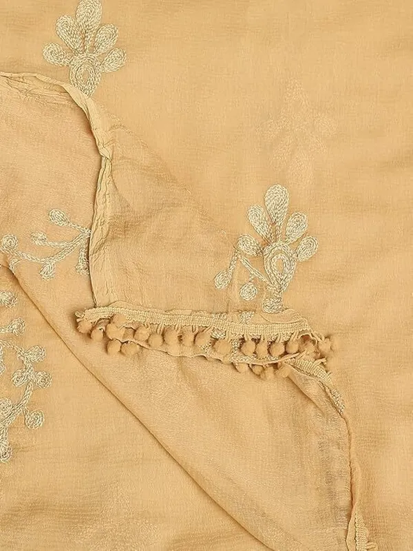 Beige_Chiffon_Embroidered_Dupatta_For_Women