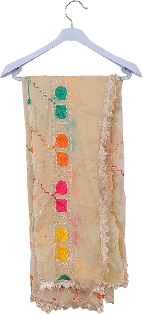 Beige_Chiffon_Geometric_Print_Dupatta_For_Women