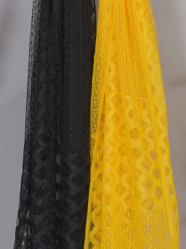 Multicolor_Net_Self_Design_Dupatta_For_Women_(Pack_Of_2)