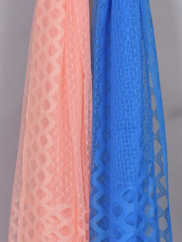 Multicolor_Net_Self_Design_Dupatta_For_Women_(Pack_Of_2)