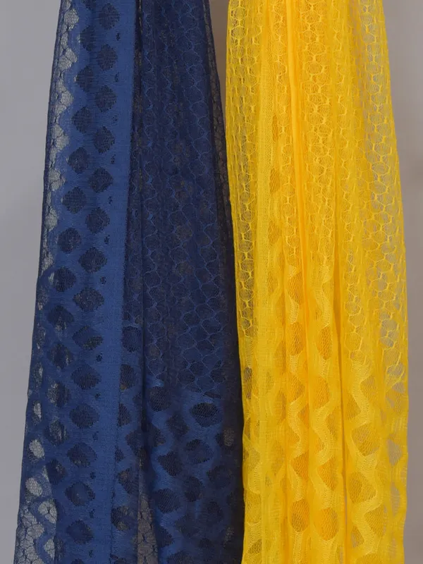 Multicolor_Net_Self_Design_Dupatta_For_Women_(Pack_Of_2)