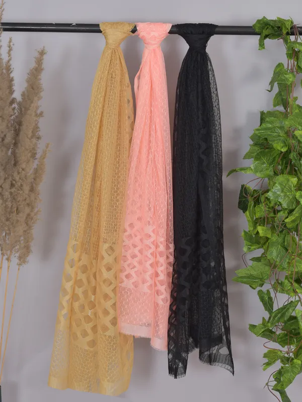 Multicolor_Net_Self_Design_Dupatta_For_Women_(Pack_Of_3)
