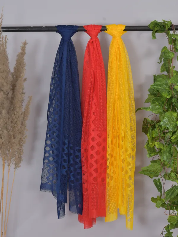 Multicolor_Net_Self_Design_Dupatta_For_Women_(Pack_Of_3)
