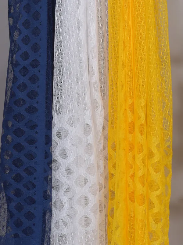 Multicolor_Net_Self_Design_Dupatta_For_Women_(Pack_Of_3)