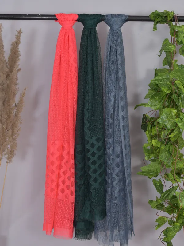 Multicolor_Net_Self_Design_Dupatta_For_Women_(Pack_Of_3)