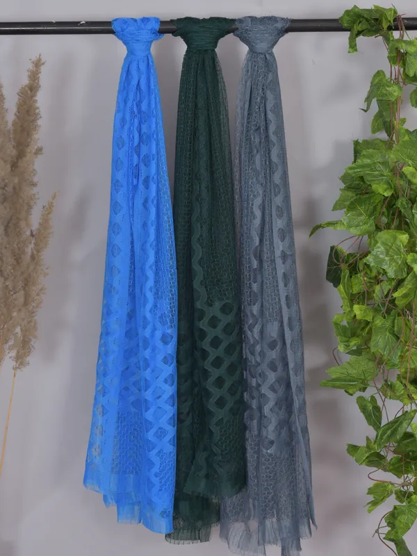 Multicolor_Net_Self_Design_Dupatta_For_Women_(Pack_Of_3)