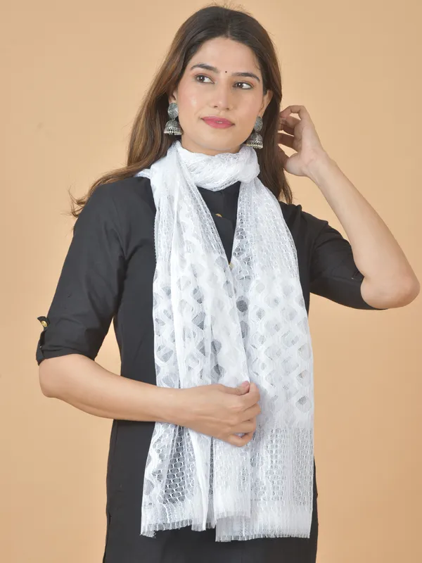 Multicolor_Net_Self_Design_Dupatta_For_Women_(Pack_Of_3)